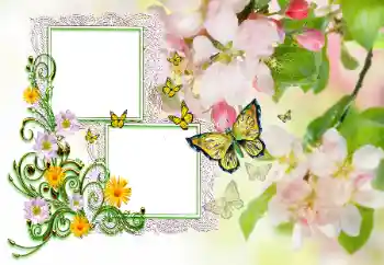 PhotoEffect da categoria Diversas infantis № 115846. Texto na moldura: Parabens!