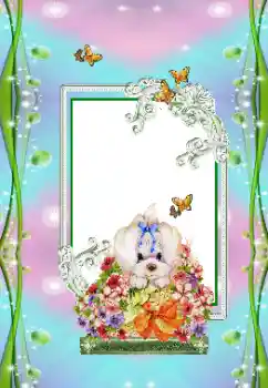 PhotoEffect da categoria Festas infantis № 151673 PhotoEffect da categoria Festas infantis № 151673
