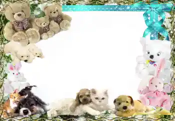 PhotoEffect da categoria Meus brinquedos e favoritos № 158458