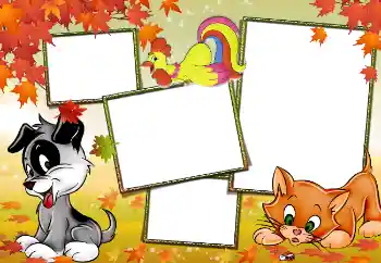 PhotoEffect da categoria Meus brinquedos e favoritos № 3929