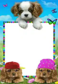 PhotoEffect da categoria Meus brinquedos e favoritos № 68642 PhotoEffect da categoria Meus brinquedos e favoritos № 68642