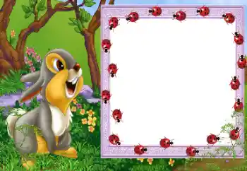 PhotoEffect da categoria Na mata № 112656 PhotoEffect da categoria Na mata № 112656