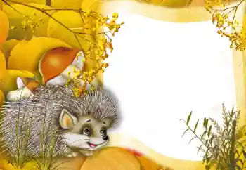 PhotoEffect da categoria Na mata № 166562