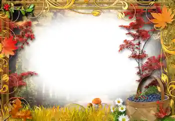 PhotoEffect da categoria Na mata № 192842