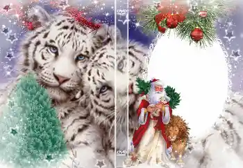 Texto na moldura: Ano Novo Texto na moldura: Ano Novo