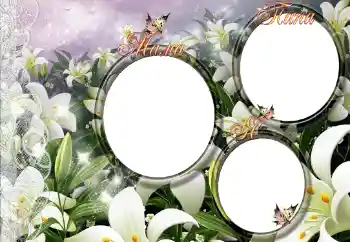 Texto na moldura: My family