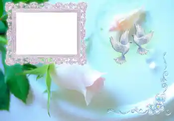 PhotoEffect da categoria Convites № 4453. Texto na moldura: Convite à festa de casamento PhotoEffect da categoria Convites № 4453. Texto na moldura: Convite à festa de casamento