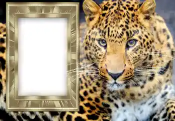 Texto na moldura: 2026 Texto na moldura: 2026