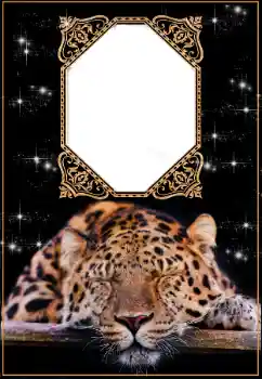 Texto na moldura: 2026 Texto na moldura: 2026