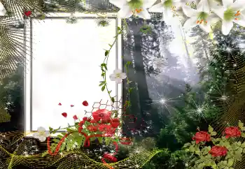 Texto na moldura: 2026