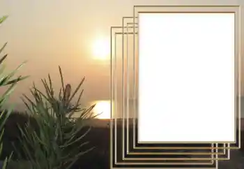 Texto na moldura: 2026