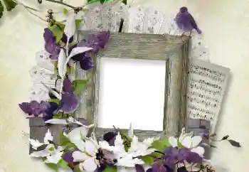 PhotoEffect da categoria Diversos № 100112 PhotoEffect da categoria Diversos № 100112