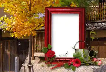 PhotoEffect da categoria Diversos № 100114 PhotoEffect da categoria Diversos № 100114