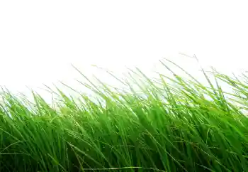 PhotoEffect da categoria Diversos № 101116 PhotoEffect da categoria Diversos № 101116