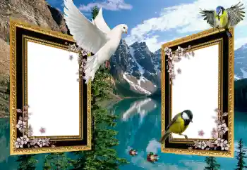 PhotoEffect da categoria Diversos № 101225 PhotoEffect da categoria Diversos № 101225