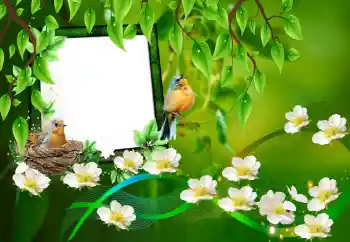 PhotoEffect da categoria Diversos № 101227 PhotoEffect da categoria Diversos № 101227