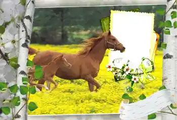 PhotoEffect da categoria Diversos № 101264 PhotoEffect da categoria Diversos № 101264