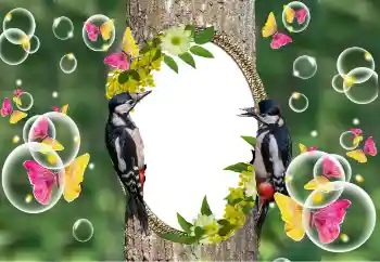 PhotoEffect da categoria Diversos № 101320 PhotoEffect da categoria Diversos № 101320