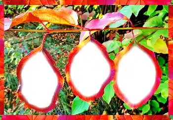 PhotoEffect da categoria Diversos № 102598 PhotoEffect da categoria Diversos № 102598