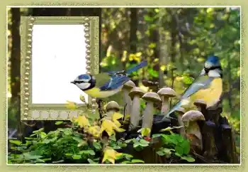 PhotoEffect da categoria Diversos № 102602 PhotoEffect da categoria Diversos № 102602