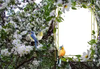 PhotoEffect da categoria Diversos № 104101 PhotoEffect da categoria Diversos № 104101