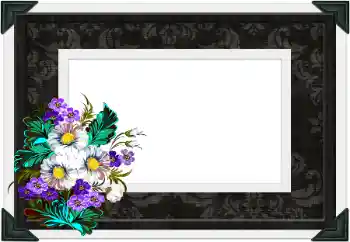 PhotoEffect da categoria Diversos № 104106 PhotoEffect da categoria Diversos № 104106