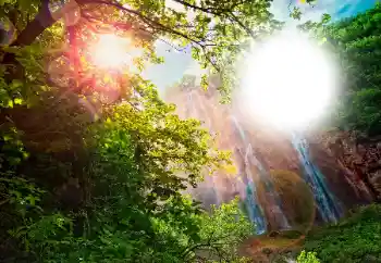 PhotoEffect da categoria Diversos № 105565 PhotoEffect da categoria Diversos № 105565