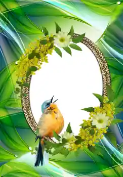 PhotoEffect da categoria Diversos № 105576 PhotoEffect da categoria Diversos № 105576