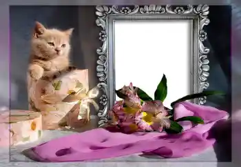 PhotoEffect da categoria Diversos № 10835