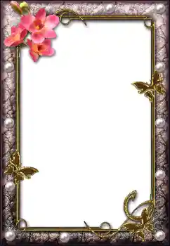 PhotoEffect da categoria Diversos № 112004 PhotoEffect da categoria Diversos № 112004