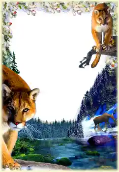 PhotoEffect da categoria Diversos № 112361