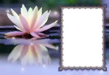 PhotoEffect da categoria Diversos № 112532 PhotoEffect da categoria Diversos № 112532