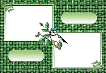 PhotoEffect da categoria Diversos № 112641 PhotoEffect da categoria Diversos № 112641