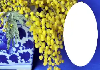 PhotoEffect da categoria Diversos № 112719 PhotoEffect da categoria Diversos № 112719