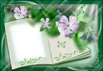 PhotoEffect da categoria Diversos № 112842 PhotoEffect da categoria Diversos № 112842