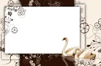 PhotoEffect da categoria Diversos № 112848 PhotoEffect da categoria Diversos № 112848