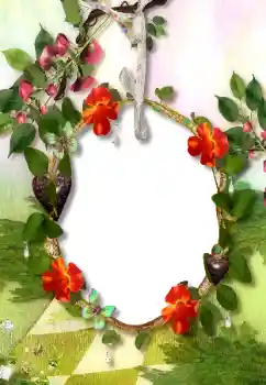 PhotoEffect da categoria Diversos № 113118 PhotoEffect da categoria Diversos № 113118