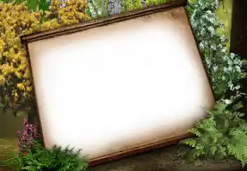 PhotoEffect da categoria Diversos № 113134 PhotoEffect da categoria Diversos № 113134