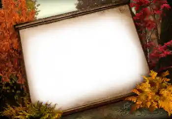 PhotoEffect da categoria Diversos № 113138 PhotoEffect da categoria Diversos № 113138