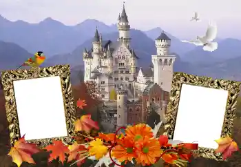 PhotoEffect da categoria Diversos № 114211 PhotoEffect da categoria Diversos № 114211