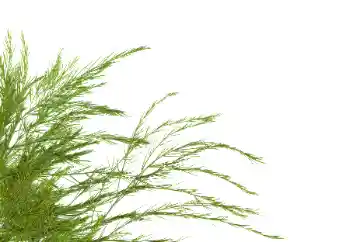 PhotoEffect da categoria Diversos № 114378 PhotoEffect da categoria Diversos № 114378