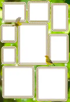 PhotoEffect da categoria Diversos № 114577 PhotoEffect da categoria Diversos № 114577