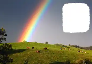 PhotoEffect da categoria Diversos № 114599 PhotoEffect da categoria Diversos № 114599