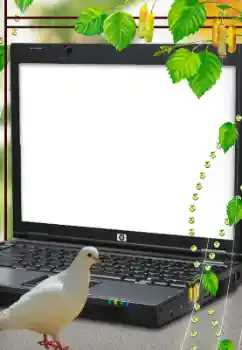 PhotoEffect da categoria Diversos № 114633 PhotoEffect da categoria Diversos № 114633