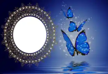 PhotoEffect da categoria Diversos № 114746 PhotoEffect da categoria Diversos № 114746