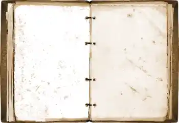 PhotoEffect da categoria Diversos № 115773 PhotoEffect da categoria Diversos № 115773