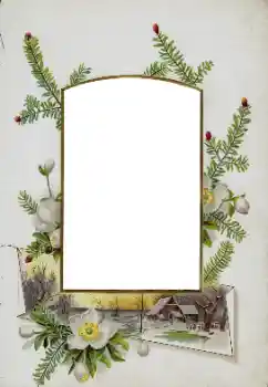 PhotoEffect da categoria Diversos № 115833 PhotoEffect da categoria Diversos № 115833