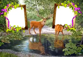 PhotoEffect da categoria Diversos № 115890 PhotoEffect da categoria Diversos № 115890