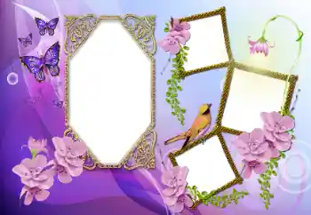 PhotoEffect da categoria Diversos № 115891 PhotoEffect da categoria Diversos № 115891