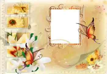 PhotoEffect da categoria Diversos № 115894 PhotoEffect da categoria Diversos № 115894